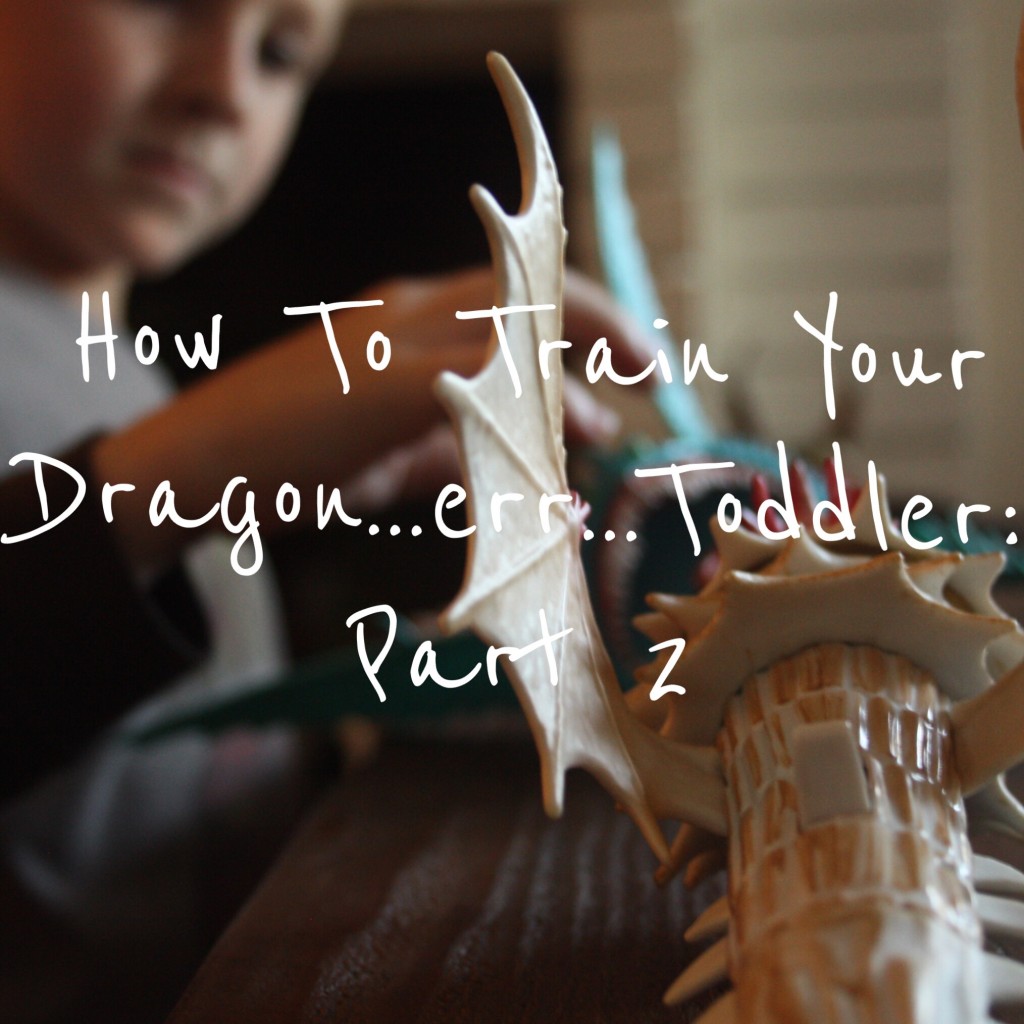 how to train your dragon:part 2