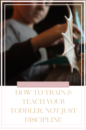 how to train and teach your toddler and not just discipline | meg Marie Wallace 