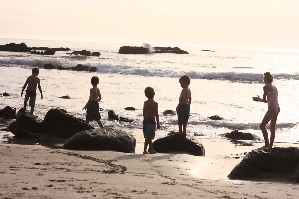 a honest look at homeschooling | first year homeschool mom, meg marie wallace, shares what it's really like