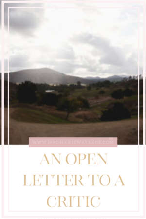 9 reasons I responded : an open letter to a critic | meg marie wallace