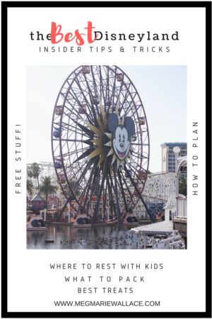 best insider Disney tips/tricks |help for planning your trip to Disneyland and California Adventure | Meg Marie Wallace